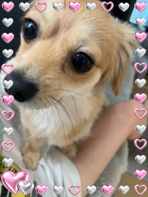 出勤♡