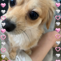 出勤♡