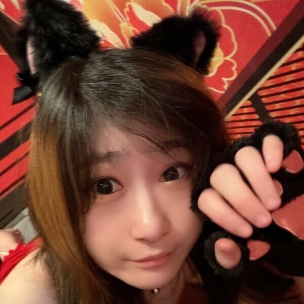 ねこさんじょう