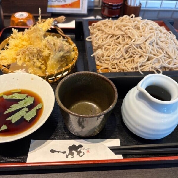 テロ🤣