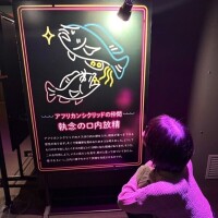 やっぱり