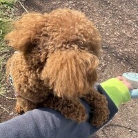 なうなぅ