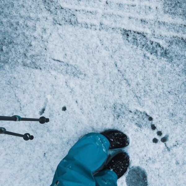 春→冬⛸️