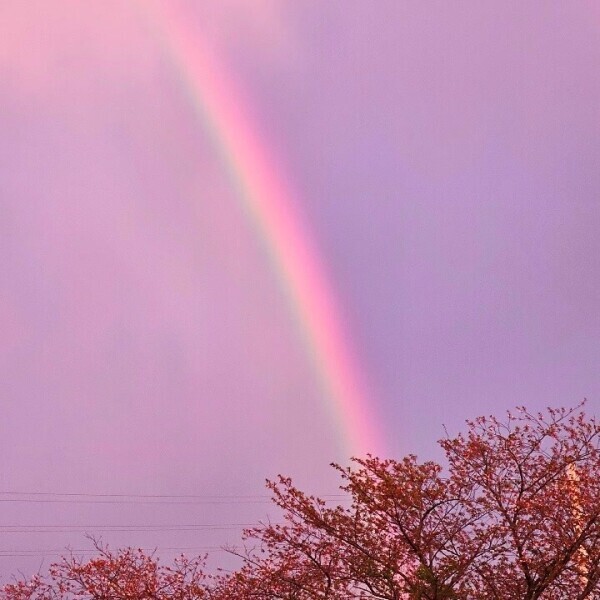 おすそ分けのレインボー🫶🏻︎💕︎︎