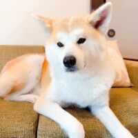 デカっ！