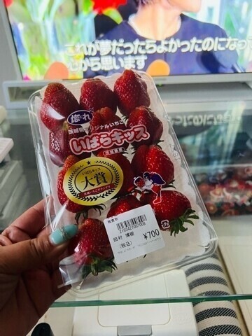 茨城観光😊　④