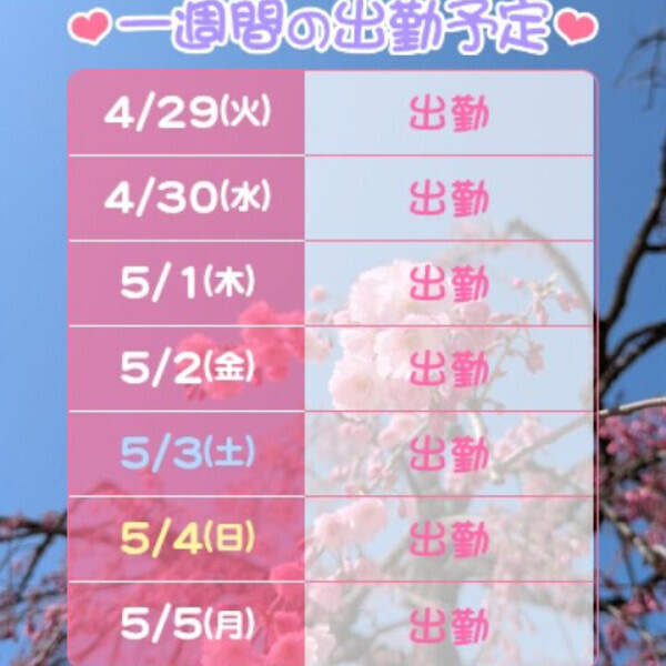 申し訳ありません