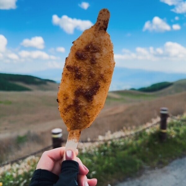 ハシゴ⛰️