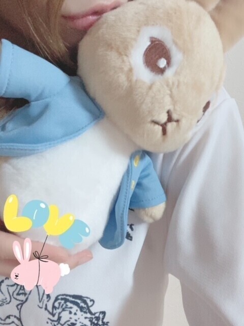 ブローチとぬいぐるみ