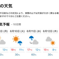 うずうず🫠
