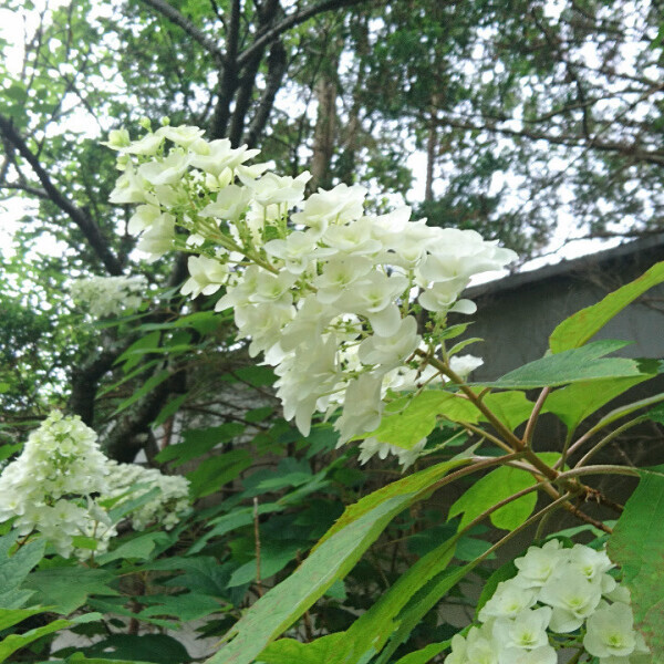 旅先にて