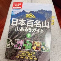 まりな