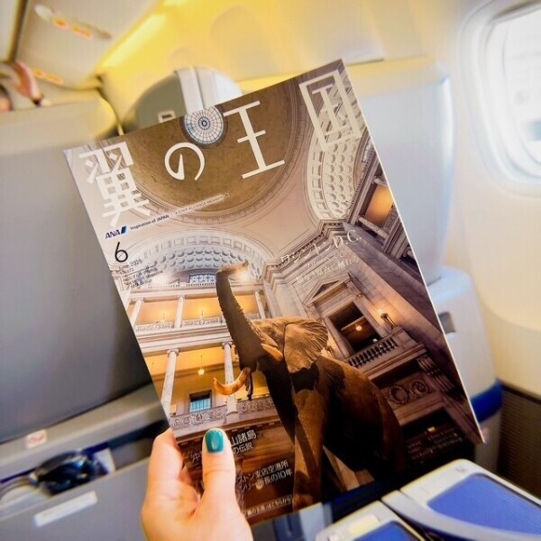 ✈️