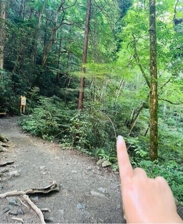 🏔️修行中は絶賛替え歌に〜🫣🤫