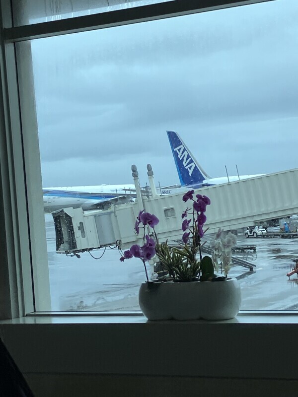 沖縄着きました♡