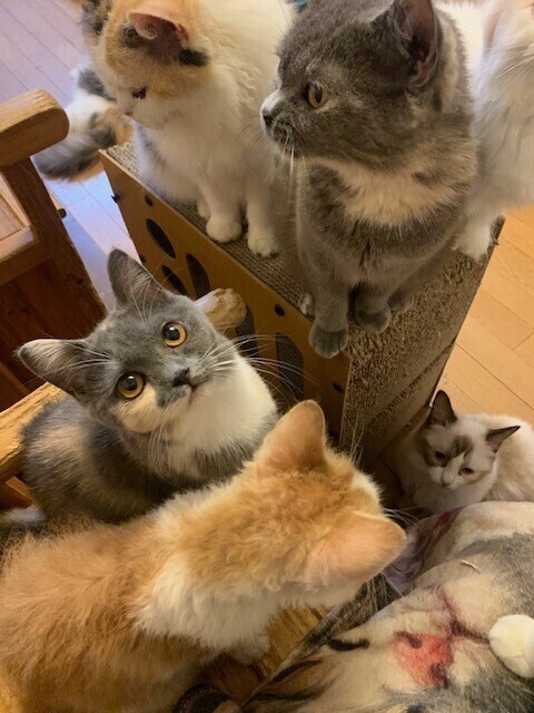 はわわ〜/////