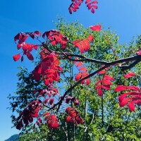 秋🍂