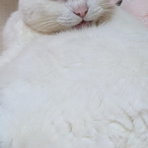 向かってます！