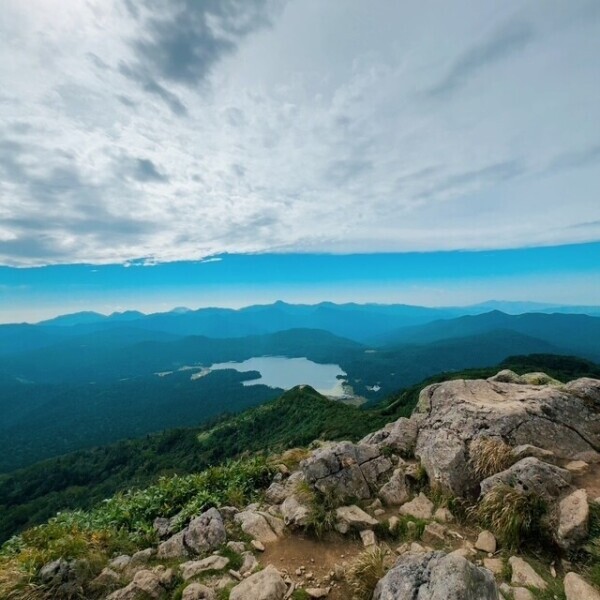 およびでない🫠