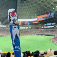 続投🥹✨