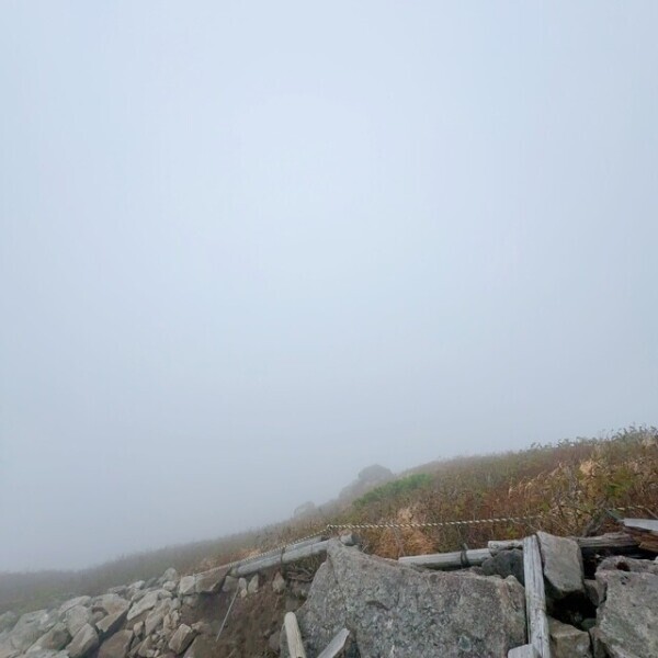 もはや特殊能力👀✨