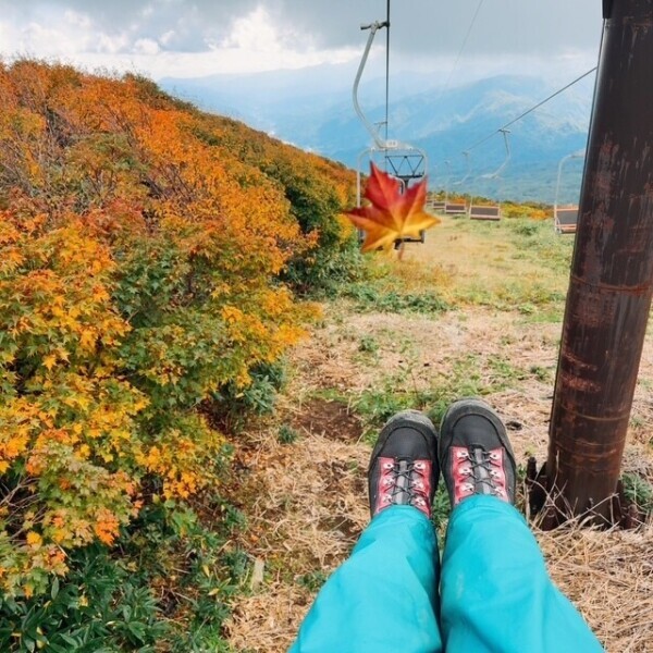 文明の手を借りて🫶