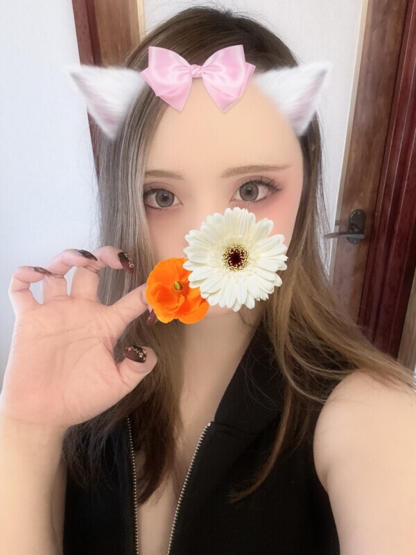 はじめまして🍀*゜