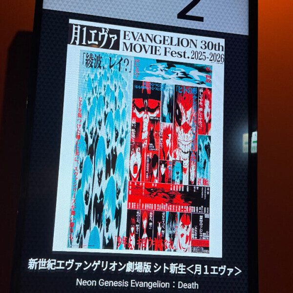 月イチニコちゃん🥰