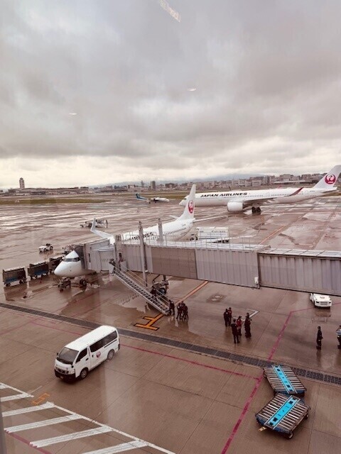 幸せ過ぎた福岡便✈️