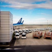 1週間ぶりの🏠