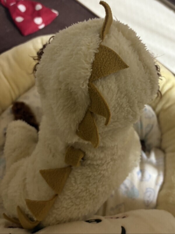 ベルちゃんお洋服デビューの巻