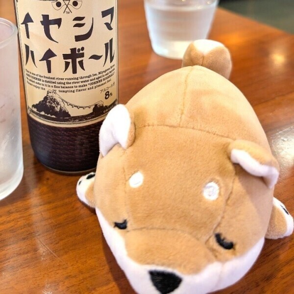 息抜きにマットいかがですか？