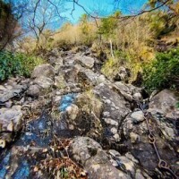 65mの崖を登る🧗‍♀️