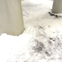 とうとう、、、