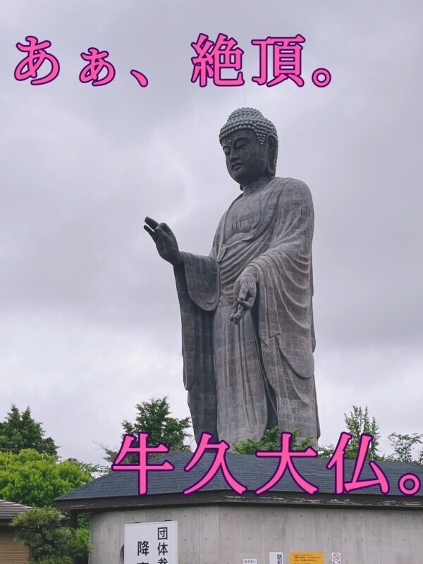 お〇んぽびんびんにしたい人集まれ〜？