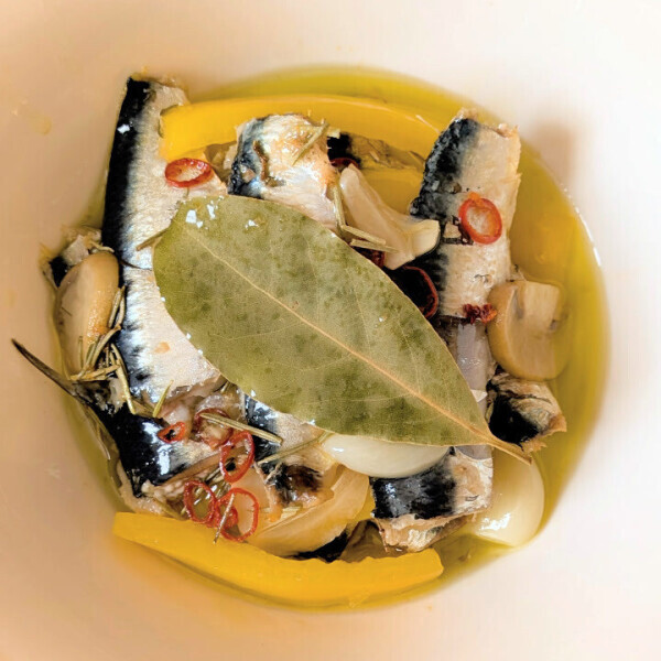 サーディンってなんだ