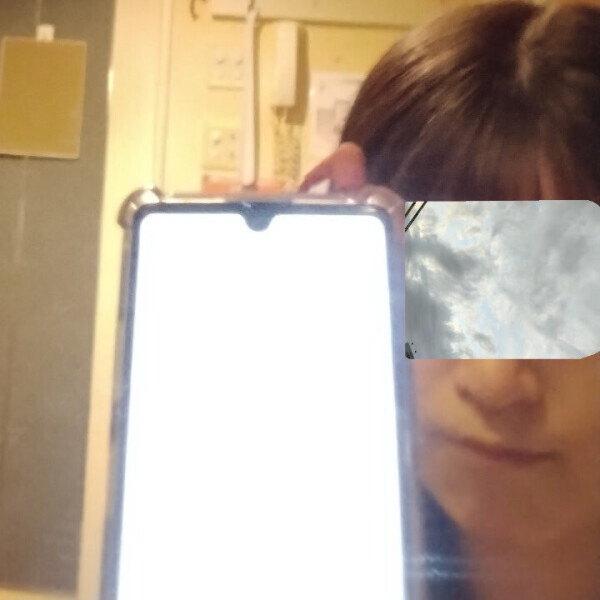 続 好きな映画ランキング