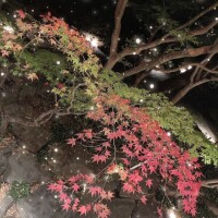 変化があるから美しい