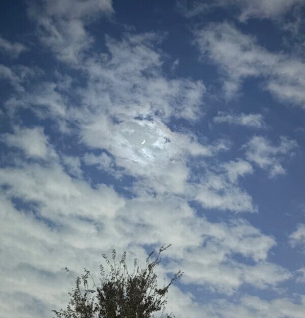 この時期のルーティーン