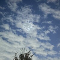 この時期のルーティーン