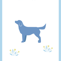 大好きな皆様へ🫂