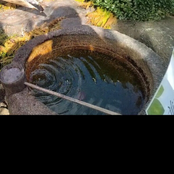 (削除覚悟)好きな映画ランキング2位台