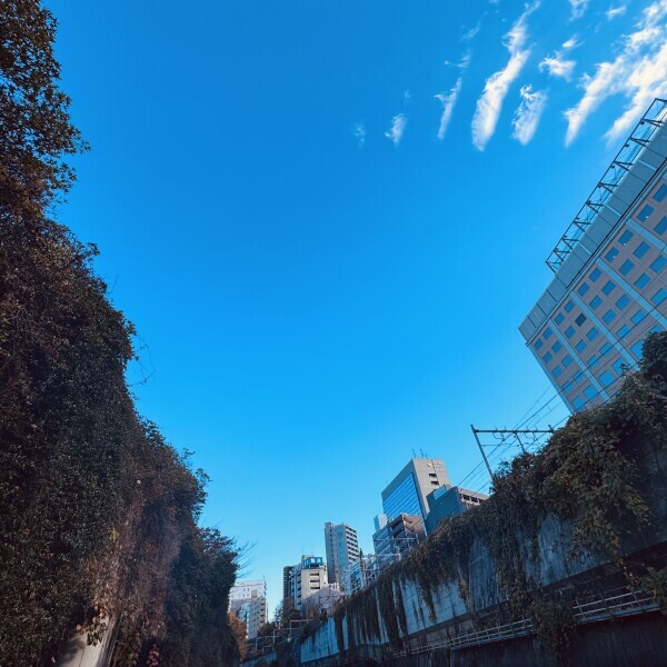 1番の幸せは🪽