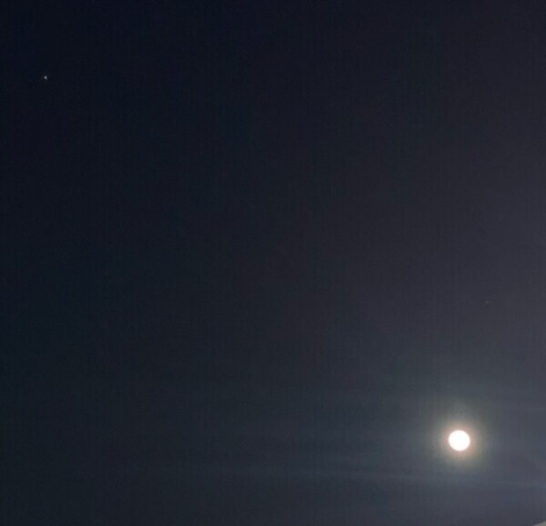 コールドムーン