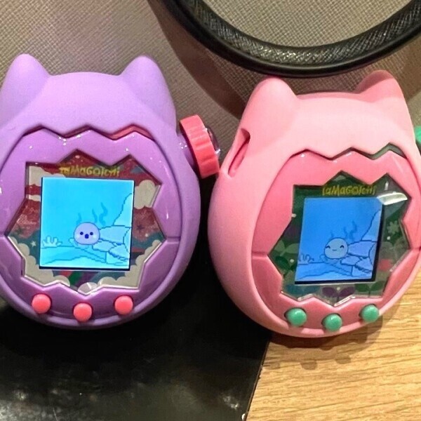 私のかわいい孫ちゃんミーテー