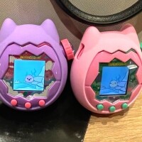 私のかわいい孫ちゃんミーテー