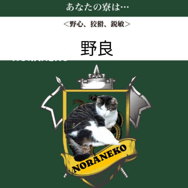 私の性格的に…