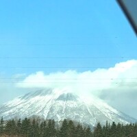 1月出勤予定　メッセージ