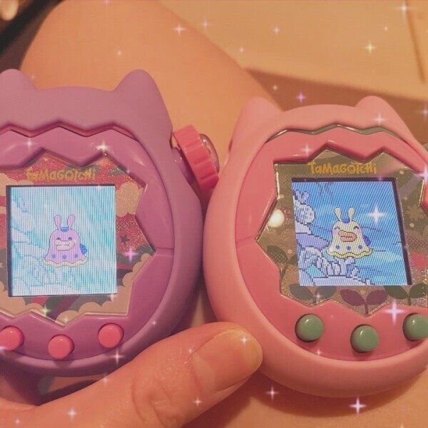 し、ん、か、し、た！