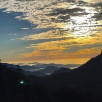 ㊗️2025デビュー🌲